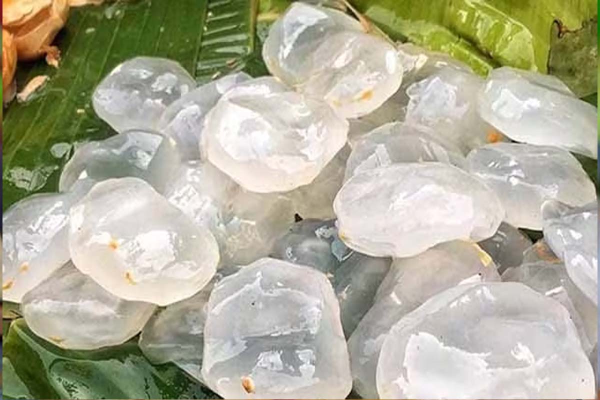 சர்க்கரை நோயாளிகள் பனை நுங்கு சாப்பிடலாமா? நிபுணர்கள் தரும் பதில்... | What Happen If Diabetic Patient Eat Palm Ice Apple