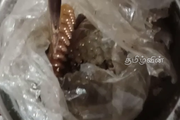 முல்லைத்தீவு பகுதியில் மீட்கப்பட்ட துப்பாக்கி ரவைகள் (Photo) | Mullaithivu Gunshots That Burst House