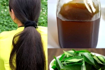 காடு போல் முடியை வளர வைக்கும் கறிவேப்பிலை.. இனி யாரும் ஒதுக்காதீர்கள்