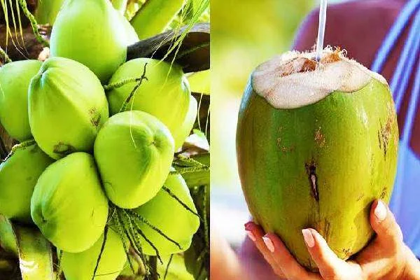 உடலை ஆழமாக சுத்தம் செய்யும் 7 பானங்கள் எவை என தெரியுமா? | Udalai Sutham Seiyum Panam To Day Health Tips