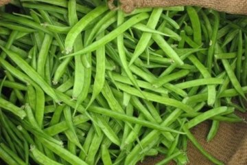 சர்க்கரை அளவை கட்டுப்படுத்த இந்த பொருளை அன்றாடம் உணவில் சேர்த்துக் கொண்டால் போதும்!