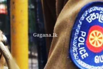 කුපිත වූ අයෙක් පොලිස් නිලධාරියෙක්ව සපා කා සිදුකළ දේ..