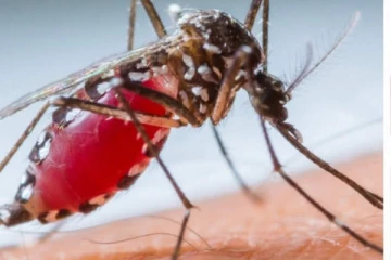 වසංගත රෝගයක,රෝග ලක්ෂණ පෙන්වීමේ කාල සීමාව වෙනස් වෙයි - විශේෂ දැනුම්දීමක්..!