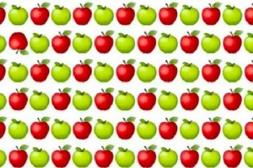 optical illusion:படத்தில் மறைந்திருக்கும் வித்தியாசமான ஆப்பிளை கண்டுபிடிக்க முடியுமா?