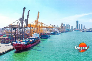 කොළඹ වරායෙන් ලොකු වාර්තාවක්