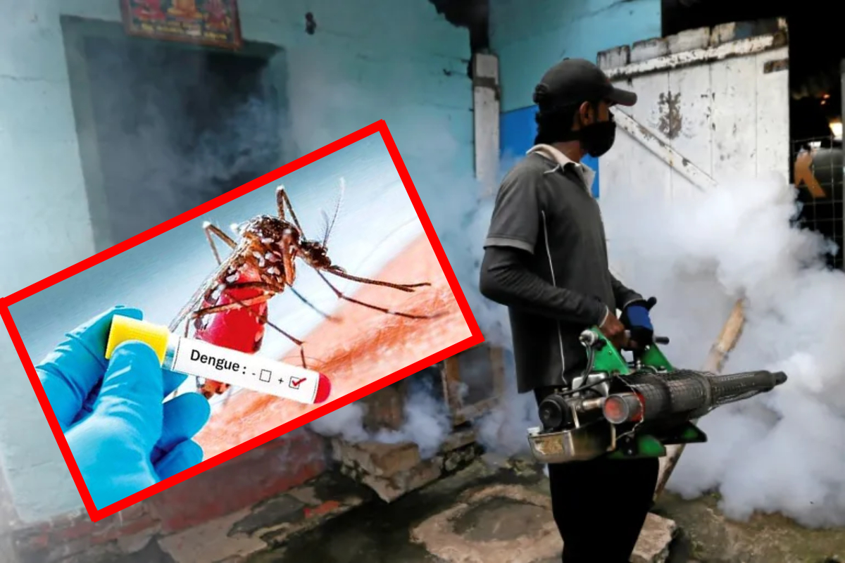 டெங்கு எச்சரிக்கை; 538 கிராம உத்தியோகத்தர் பிரிவுகள் அதிஅபாய வலயங்களாக அறிவிப்பு | Dengue 38 Grama Niladhari Divisions Risk Zones டெங்கு எச்சரிக்கை; 538 கிராம உத்தியோகத்தர் பிரிவுகள் அதிஅபாய வலயங்களாக அறிவிப்பு | Dengue 38 Grama Niladhari Divisions Risk Zones