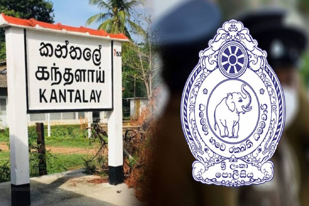 கந்தளாய் பகுதியில் மானை வேட்டையாடிய குடும்பலில் ஒருவர் கைது..! | Man Arrested For Hunting Deer In Kandalai Area கந்தளாய் பகுதியில் மானை வேட்டையாடிய குடும்பலில் ஒருவர் கைது..! | Man Arrested For Hunting Deer In Kandalai Area