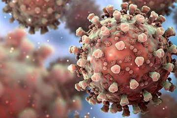 அமெரிக்காவில் ஒருவருக்கு ஒமைக்ரான் - மக்களுக்கு எச்சரிக்கை