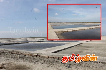 ஆனையிறவில் தொடர் மழையால் பெரிதும் பாதிக்கப்பட்டுள்ள உப்பு உற்பத்தி