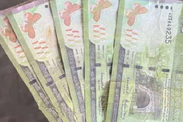 யாழில் போலி நாணத்தாள்கள்... நபரொருவர் அதிரடி கைது! | Fake Currency Notes In Jaffna A Person Was Arrest