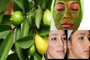 முகம் பளிச்சென்று மின்ன கொய்யா இலை: எப்படி பயன்படுத்தணும்?