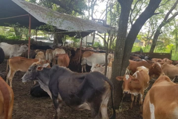 வவுனியா மக்களுக்கான அறிவிப்பு (Photos)