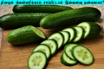 தினமும் ஒரு வெள்ளரிக்காய் எடுத்துக்கோங்க... உடல் எடை கடகடவென குறையுமாம்