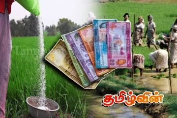 விவசாயிகளுக்கான உரமானிய பணம் கையளிப்பு: வெளியாகியுள்ள அதிர்ச்சி தகவல்