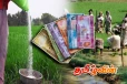 விவசாயிகளுக்கான உரமானிய பணம் கையளிப்பு: வெளியாகியுள்ள அதிர்ச்சி தகவல்