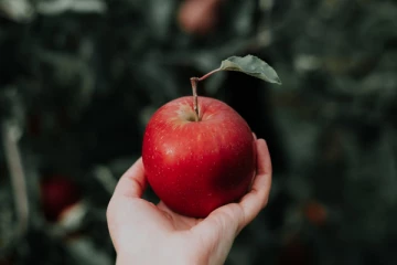 தினமும் ஒரு ஆப்பிள் 24 வாரம் சாப்பிடுங்க! இந்த நன்மைகள் உங்களை தேடி வருமாம்