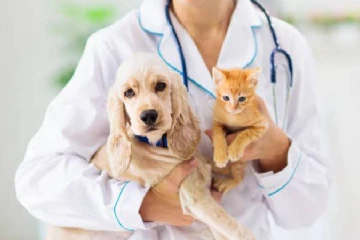 கடும் பொருளாதார நெருக்கடி! கால்நடை வைத்தியர் சங்கத்தினர் பெரும் பாதிப்பு