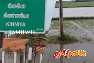 கிண்ணியாவில் நீரில் மூழ்கி அழிவடைந்த நெற்பயிர்ச்செய்கை