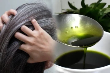 நிரந்தரமாக நரைமுடியை கருப்பாக்க உதவும் பச்சை எண்ணெய்- எப்படி தயாரிப்பது?