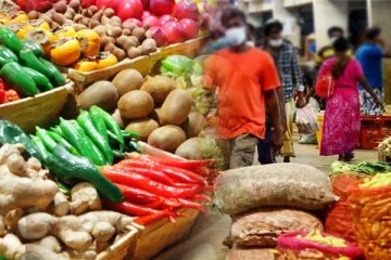 வட பகுதியில் மரக்கறிகளின் விலையில் பாரிய வீழ்ச்சி