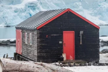 இது பென்குயின் தபால் அலுவலகம்.., உலகின் தொலைதூர தபால் அலுவலகம் எங்குள்ளது தெரியுமா?