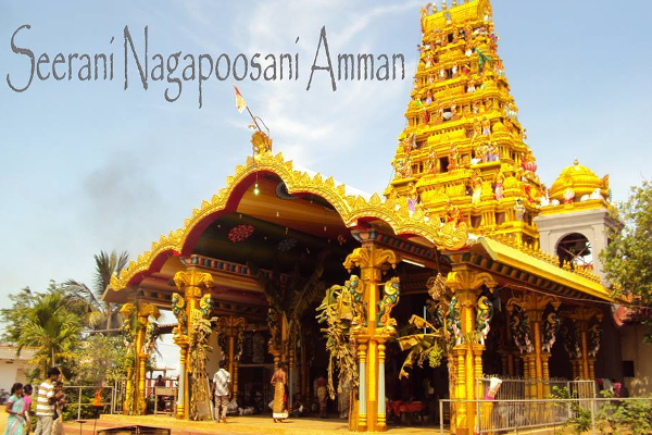 யாழ். பிரபல அம்மன் ஆலயத்தில் காட்சி தந்த சிவப்பு நாகம்! பக்தர்கள் பரவசம் | Jaffna Sirini Nagabhushani Amman Red Dragon