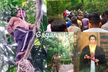 ගුරුවරිය මරා දැමූ පෙම්වතා අඩි 40ක් උස රඹුටන් ගසකට නැගල හැමෝම බලා ඉද්දි කරපු දේ..(PHOTOS)