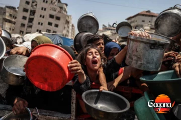 දෙයියනේ කන්න නැතුව 281 ක් මැරිලා, 114ක්ම පොඩි පැටව් මේවා යුද අපරාධ