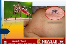 மட்டக்களப்பு மாவட்டத்தில் தொடர்ந்தும் அதிகரித்து வரும் டெங்கு நோயாளர்கள்