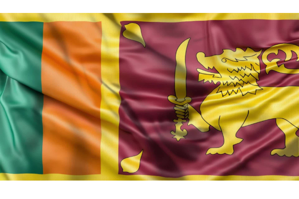 வேட்டையாடிகள் சிக்குகின்றனர் வேட்டைக்காரர்கள் தப்புகின்றனர்: சுட்டிக்காட்டும் சிறீநேசன் எம்.பி. | Srinesan Mp Statement About Srilankan Tamils