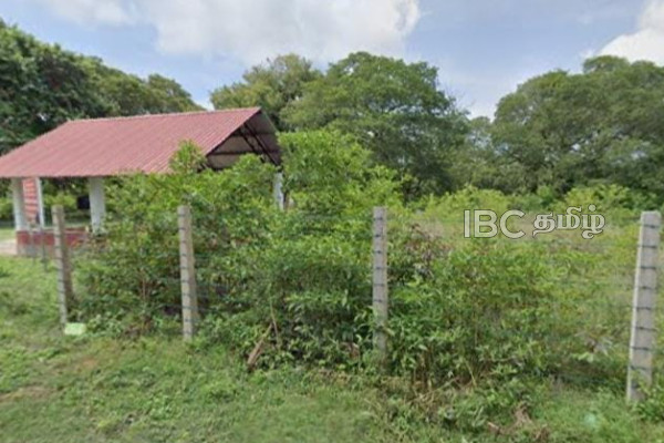 யாழில் பற்றைக்காடாக காட்சியளிக்கும் இந்து மயானம் | Hindu Cemetery In Jaffna Which Looks Like Forest