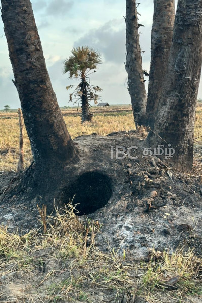 கிளிநொச்சியில் காவல்துறையினரின் உச்சக்கட்ட அசமந்த போக்கு! | Palmyrah Trees Burned In Kilinochchi