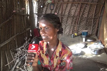 எரிபொருள் வரிசையை தாண்டிய துயரம்! சொல்லப்படாத பல உண்மைகள்