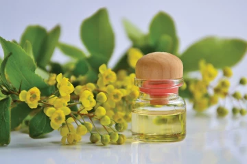 ඔසු පැලෑටි වල සෞඛ්‍ය ප්‍රතිලාභ 5ක් මෙන්න...