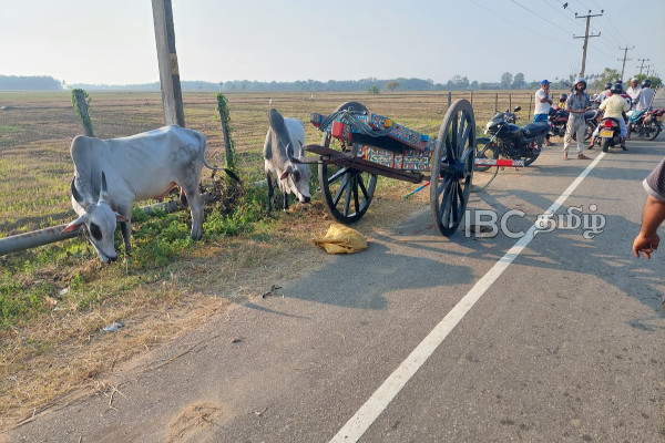 மாட்டு வண்டியுடன் மோட்டார் சைக்கிள் மோதியதில் ஒருவர் பலி | Motorcycle Bullock Cart Accident Person Died