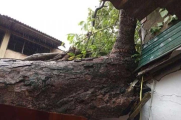 சீரற்ற காலநிலை ; கொழும்பு மாவட்டத்தில் 1,321 பேர் பாதிப்பு