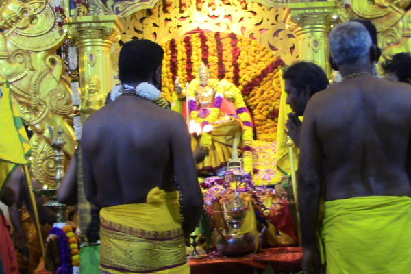 திரெளபதி அம்மன் ஆலயத்தில் தீ மிதிப்பு விழா; பக்தர்கள் பரவசம் | Fire Trampling Draupadi Amman Temple In Puttalam