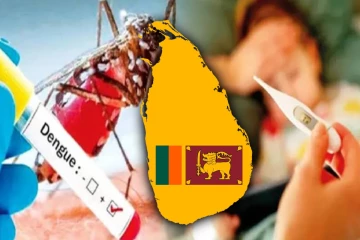 டெங்கு நோய் அபாயம் குறையவில்லை : விடுக்கப்பட்டுள்ள எச்சரிக்கை