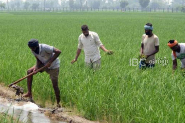 விவசாயிகளின் பிரச்சினை : அமைச்சர் வெளியிட்ட தகவல் | Farmers Will Be Given Concessions