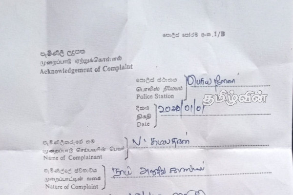 தமிழர் பகுதிகளில் ஆட்டிறைச்சியுடன் நாயிறைச்சி கலப்பு.. மக்கள் அவதானம் | Dog Meat Stew With Mutton Amparaa Police