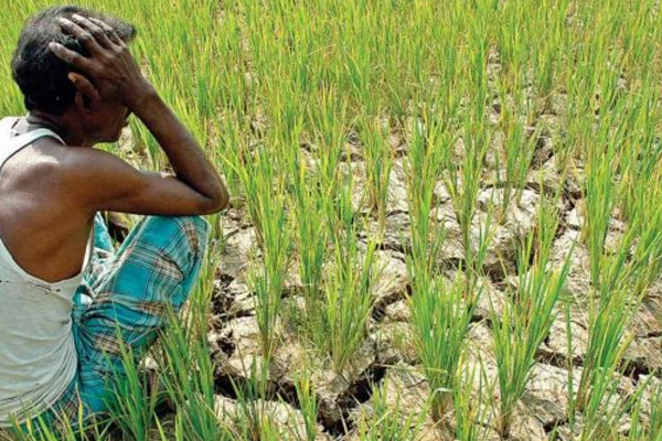 ஈழ மண்ணின் விவசாயிகள் ஒவ்வொருவரும் தமிழ்த்தேசியப் போராளிகளே:பொ.ஐங்கரநேசன் | Jaffna Srilanka Ecconomic ஈழ மண்ணின் விவசாயிகள் ஒவ்வொருவரும் தமிழ்த்தேசியப் போராளிகளே:பொ.ஐங்கரநேசன் | Jaffna Srilanka Ecconomic