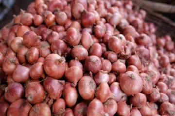 இந்தியாவிலிருந்து ஆரம்பமான வெங்காய இறக்குமதி : இலங்கையில் ஏற்பட்ட மாற்றம்