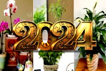 2024ல் துரஷ்டங்களை துரத்தியடிக்கும் செடிகள்.. வீட்டில் எந்த இடத்தில் வளர்க்கணும் தெரியுமா?.