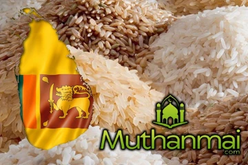 அரிசி இறக்குமதி தொடர்பாக வெளியான வர்த்தமானி