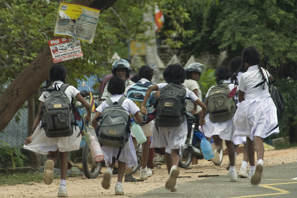 பாடசாலைகளின் விடுமுறை தொடர்பான தகவல் | Information Regarding School Holidays