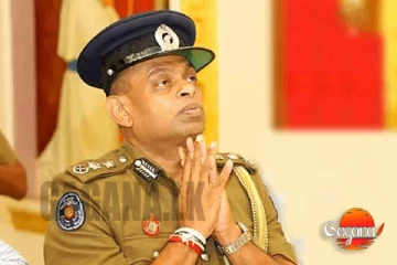 113 ඡන්දෙ දුන්නොත් දේශබන්දු අද ගෙදර - මෙන්න විස්තරේ