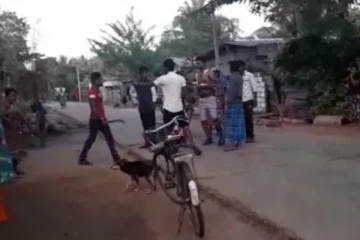வவுனியாவில் கைகலப்பொன்றை தடுக்க சென்ற நபருக்கு நேர்ந்துள்ள பரிதாபம்