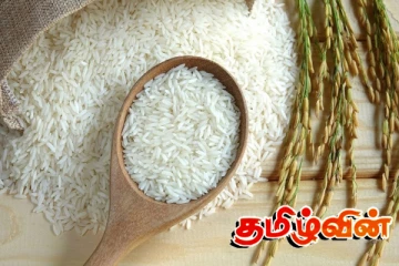 சடுதியாக அதிகரித்துள்ள அரிசியின் விலை