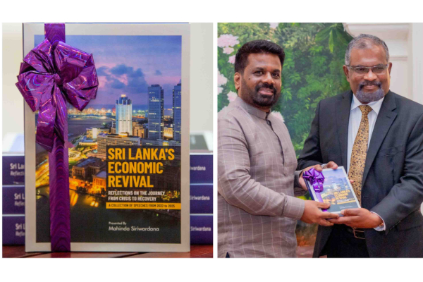 கோட்டாபய ஆட்சிக் கவிழ்ப்பு:சகோதரர்களிடையே ஏற்பட்ட குழப்பமா! | Gotabaya And Mahinda Rajapaksa