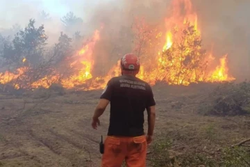 துருக்கியில் காட்டுத் தீயில் சிக்கி 10 பேர் உயிரிழப்பு